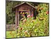 Premium Photographic Print