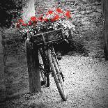 Flower Bike Square-Gail Peck-Art Print