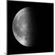 Premium Photographic Print