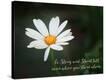 Stretched Canvas Print
