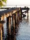 Premium Photographic Print