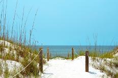 White Sandy Beach I-Gail Peck-Photographic Print