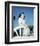 Gail Russell-null-Framed Photo