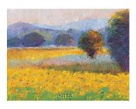 Sunflowers in Provence-Gail Wells-Hess-Art Print