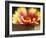 Gaillardia I-Jonathan Nourock-Framed Photographic Print