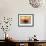 Gaillardia II-Jonathan Nourock-Framed Photographic Print displayed on a wall