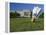 Gaint Shuttlecock Sculpture in Front of a Museum, Nelson Atkins Museum of Art, Kansas City-null-Framed Premier Image Canvas