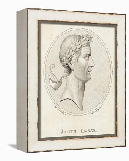 Gaius Julius Caesar Roman Emperor-Sophie Harding-Framed Premier Image Canvas