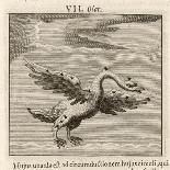 Zodiac-Gaius Julius Hyginus-Giclee Print