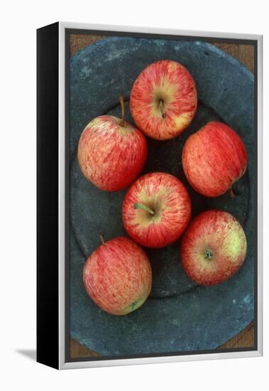 Gala Apples-Den Reader-Framed Premier Image Canvas