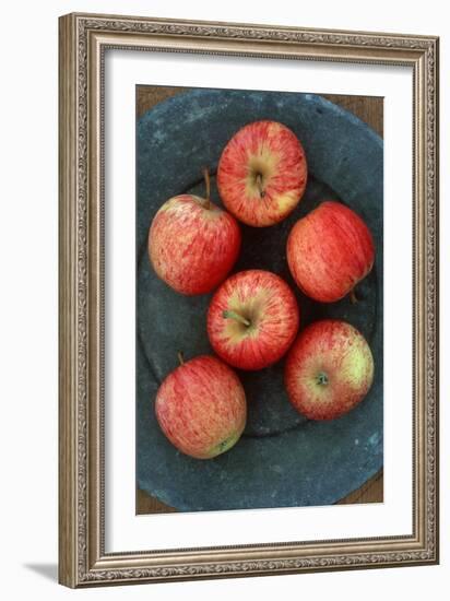 Gala Apples-Den Reader-Framed Photographic Print