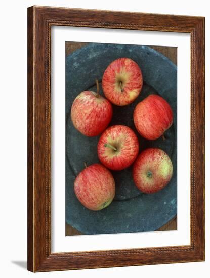 Gala Apples-Den Reader-Framed Photographic Print