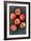 Gala Apples-Den Reader-Framed Photographic Print