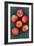 Gala Apples-Den Reader-Framed Photographic Print