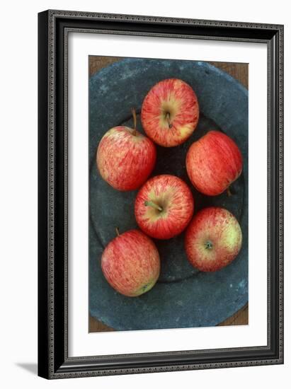 Gala Apples-Den Reader-Framed Photographic Print