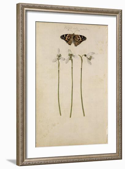 Galanthus Nivalis and Painted Lady Butterfly, C.1568-null-Framed Giclee Print