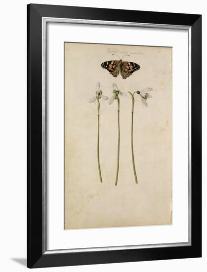 Galanthus Nivalis and Painted Lady Butterfly, C.1568-null-Framed Giclee Print