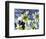 Galanthus Nivalis 'Flore Pleno'-Cordelia Molloy-Framed Premium Photographic Print