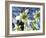 Galanthus Nivalis 'Flore Pleno'-Cordelia Molloy-Framed Photographic Print