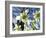 Galanthus Nivalis 'Flore Pleno'-Cordelia Molloy-Framed Photographic Print