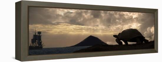 Galapagos Giant Tortoise And Sail Ship-Paul Stewart-Framed Premier Image Canvas