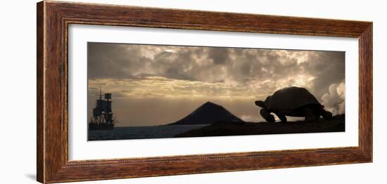 Galapagos Giant Tortoise And Sail Ship-Paul Stewart-Framed Photographic Print