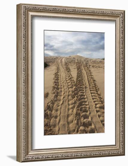 Galapagos Green Sea Turtle. las Bachas Santa Cruz, Galapagos, Ecuador-Pete Oxford-Framed Photographic Print