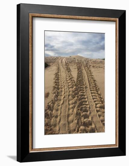 Galapagos Green Sea Turtle. las Bachas Santa Cruz, Galapagos, Ecuador-Pete Oxford-Framed Photographic Print