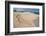 Galapagos Green Sea Turtle Tracks. las Bachas, Galapagos, Ecuador-Pete Oxford-Framed Photographic Print