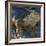 Galapagos Islands, a Land Iguana on South Plaza Island-Nigel Pavitt-Framed Photographic Print