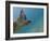 Galapagos Islands, Ecuador-Karine Aigner-Framed Photographic Print