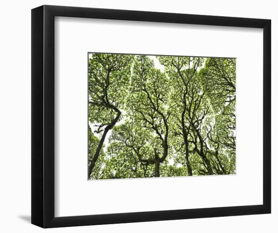 Galapagos Islands, Ecuador-Karine Aigner-Framed Photographic Print