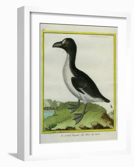 Galápagos Penguin-Georges-Louis Buffon-Framed Giclee Print