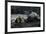 Galapagos Sea Lion and Pup on Rocks-DLILLC-Framed Photographic Print