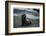 Galapagos Sea Lion Galapagos, Ecuador-Pete Oxford-Framed Photographic Print