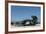 Galapagos Sea Lion, Galapagos, Ecuador-Pete Oxford-Framed Photographic Print