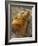 Galapagos Sea Lion, Gardner Bay, Espaola Island, Galapagos Islands, Ecuador-Pete Oxford-Framed Photographic Print