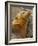 Galapagos Sea Lion, Gardner Bay, Espaola Island, Galapagos Islands, Ecuador-Pete Oxford-Framed Photographic Print