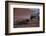 Galapagos Sea Lion Mom and New Pup, Rabida Island, Galapagos, Ecuador-Pete Oxford-Framed Photographic Print