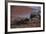 Galapagos Sea Lion Mom and New Pup, Rabida Island, Galapagos, Ecuador-Pete Oxford-Framed Photographic Print