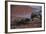 Galapagos Sea Lion Mom and New Pup, Rabida Island, Galapagos, Ecuador-Pete Oxford-Framed Photographic Print