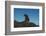 Galapagos Sea Lion Pup, Galapagos, Ecuador-Pete Oxford-Framed Photographic Print