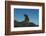 Galapagos Sea Lion Pup, Galapagos, Ecuador-Pete Oxford-Framed Photographic Print