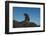 Galapagos Sea Lion Pup, Galapagos, Ecuador-Pete Oxford-Framed Photographic Print