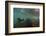 Galapagos Sea Lion Underwater, Galapagos, Ecuador-Pete Oxford-Framed Photographic Print