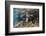 Galapagos Sea Lion Underwater, Galapagos, Ecuador-Pete Oxford-Framed Photographic Print