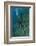 Galapagos Sea Lion Underwater, Galapagos, Ecuador-Pete Oxford-Framed Photographic Print