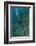 Galapagos Sea Lion Underwater, Galapagos, Ecuador-Pete Oxford-Framed Photographic Print