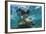 Galapagos Sea Lion Underwater, Galapagos, Ecuador-Pete Oxford-Framed Photographic Print