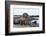 Galapagos Sea Lion (Zalophus Wollebaeki) Baby On Coastal Volcanic Rock. James Bay, Galapagos, June-Tui De Roy-Framed Photographic Print